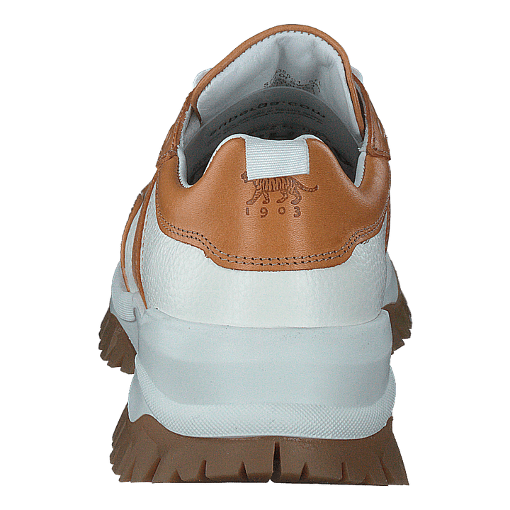 Afria White /brown