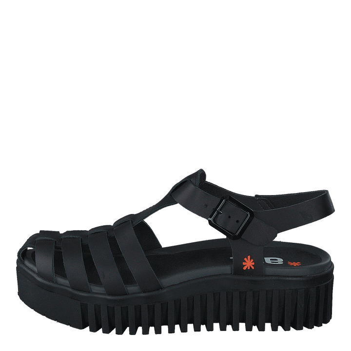Brighton Black