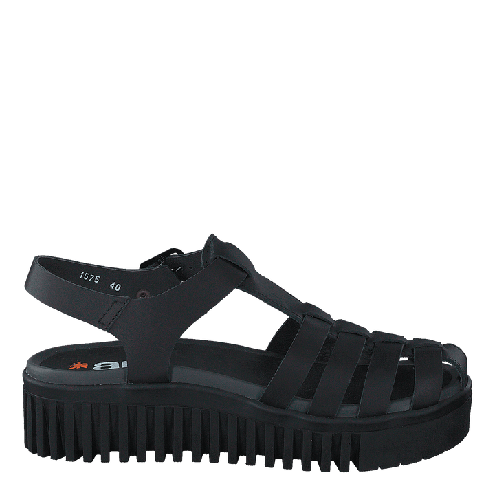 Brighton Black