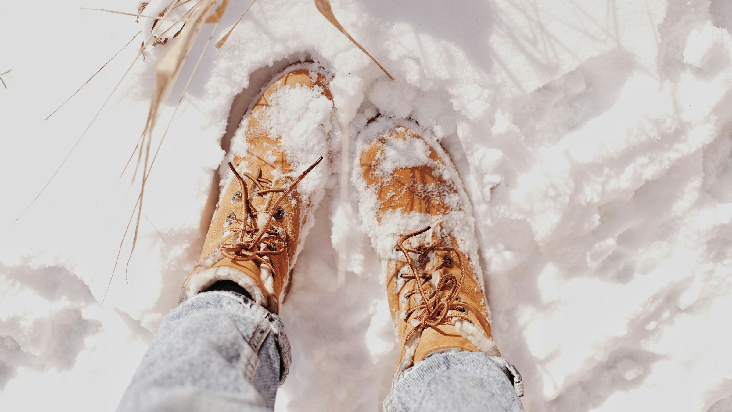 Winter [[boots]] for Women
