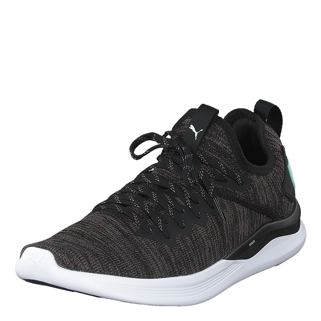 Puma damen ignite flash evoknit wn's laufschuhe best sale