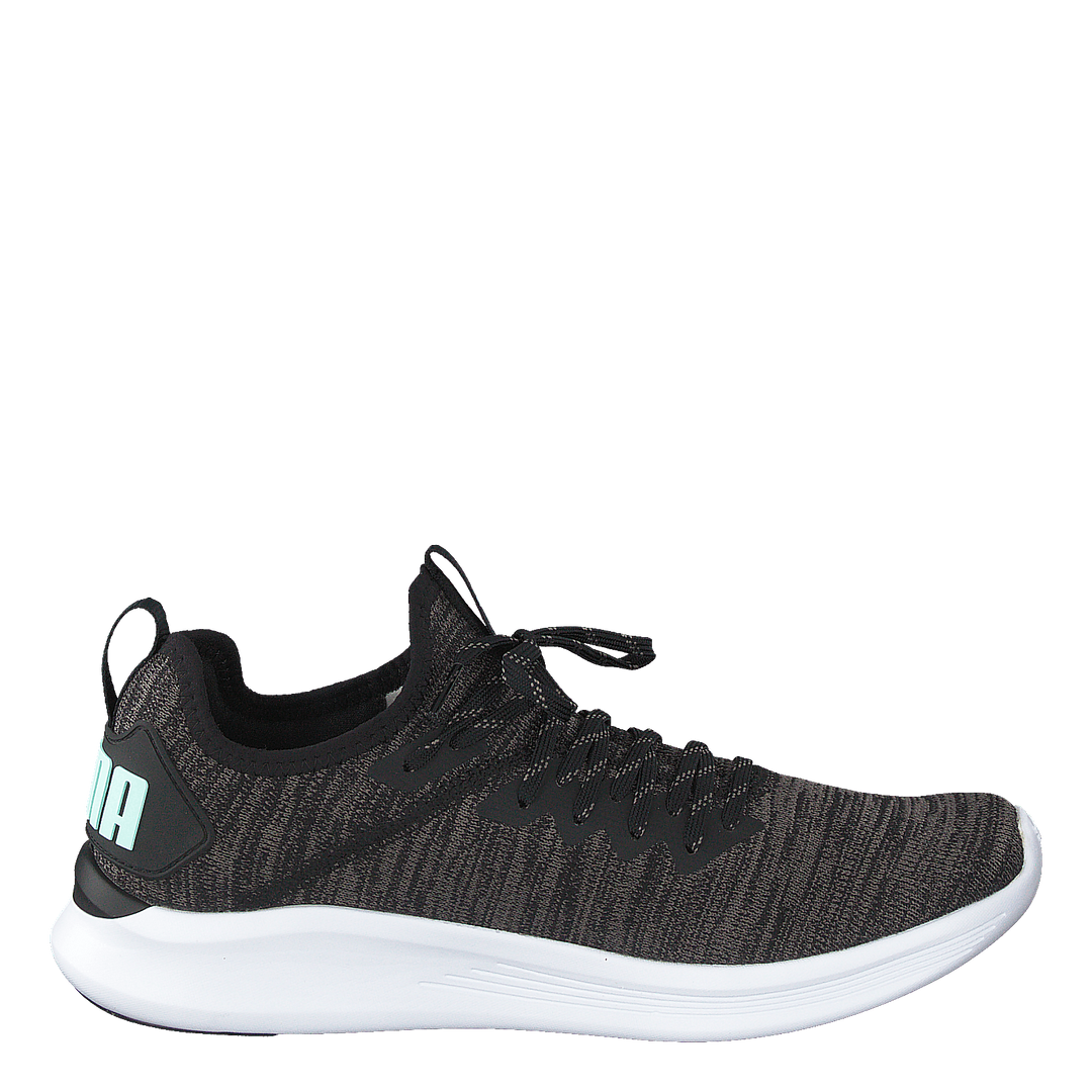 Ignite Flash Evoknit Sr Wn's Puma Black-charcoal Gray-aqua