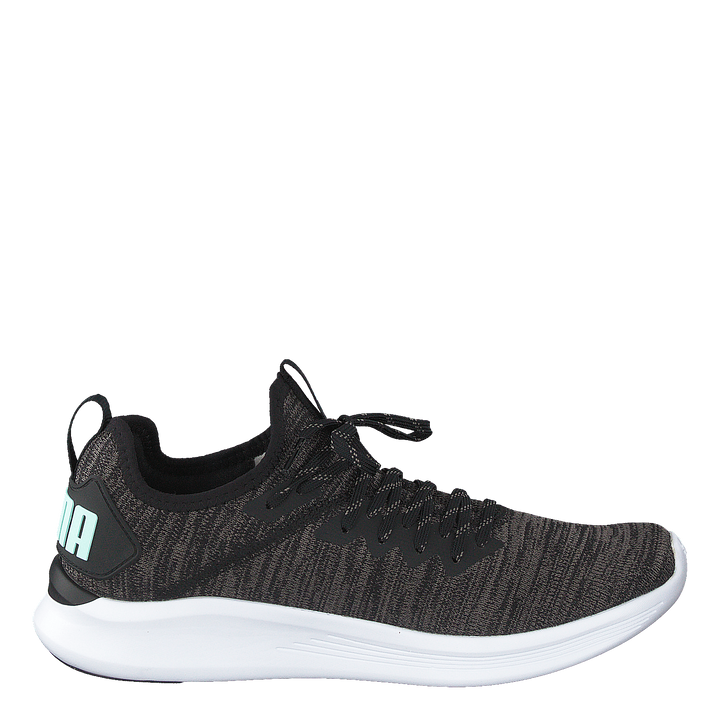 Ignite Flash Evoknit Sr Wn's Puma Black-charcoal Gray-aqua