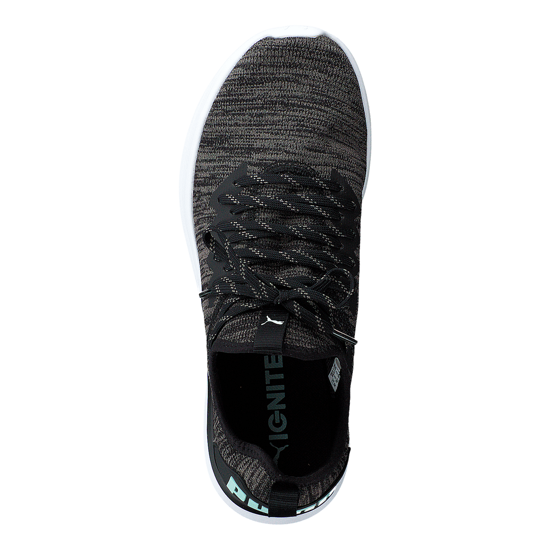 Ignite Flash Evoknit Sr Wn's Puma Black-charcoal Gray-aqua