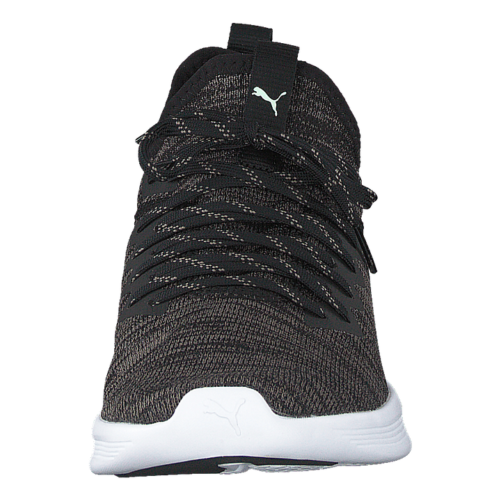 Ignite Flash Evoknit Sr Wn's Puma Black-charcoal Gray-aqua