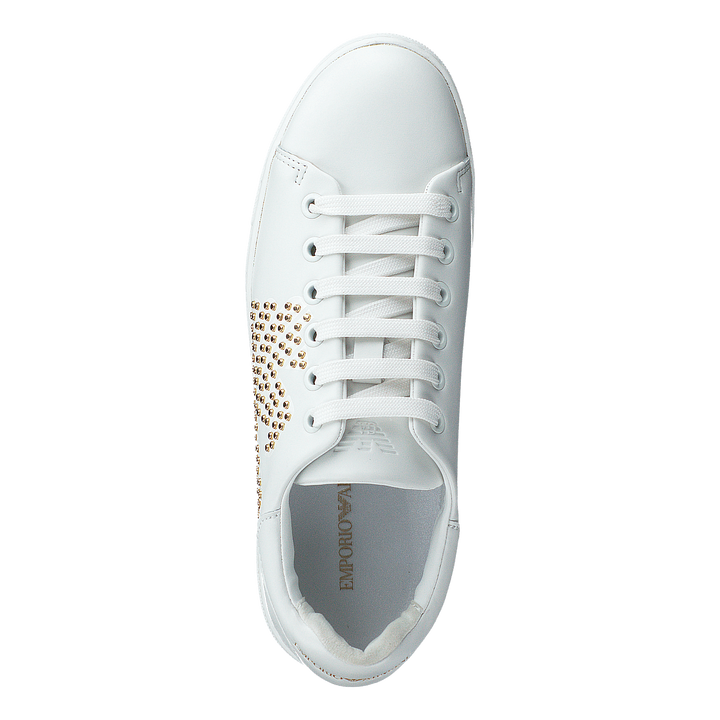Lace Up Sneaker R579 White+gold