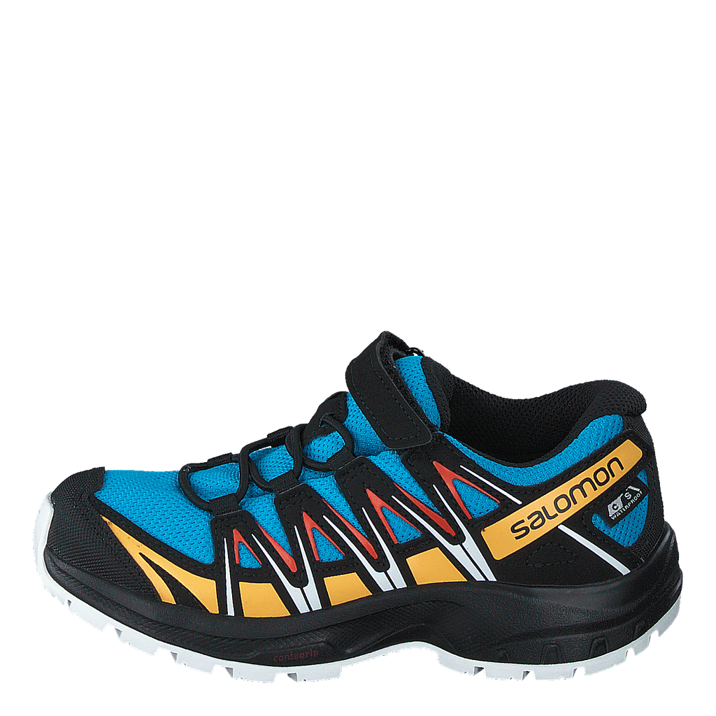 Salomon xa pro 3d cherry discount