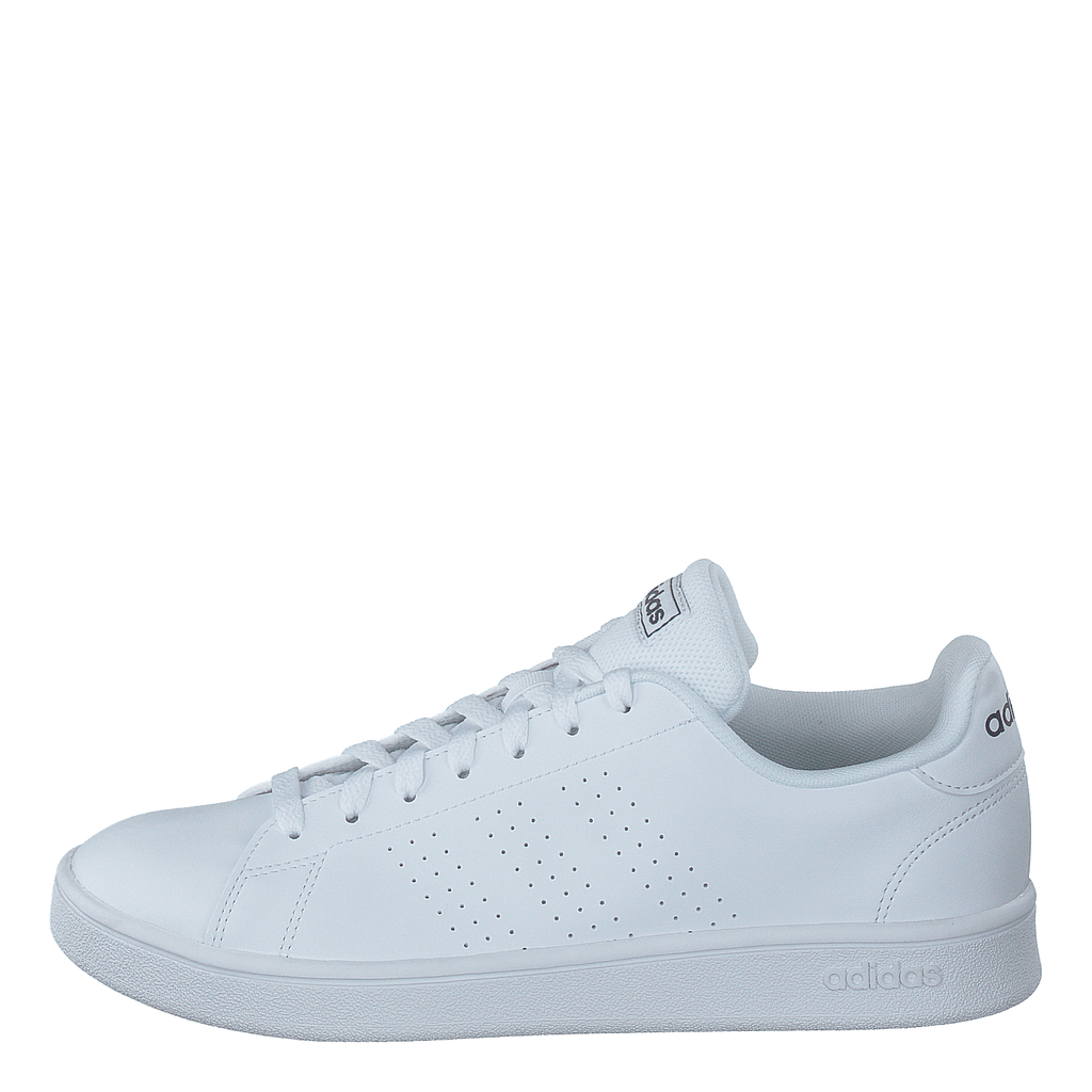 adidas Advantage Base Shoes Cloud White / Cloud White / Trace Blue –  Heppo.com