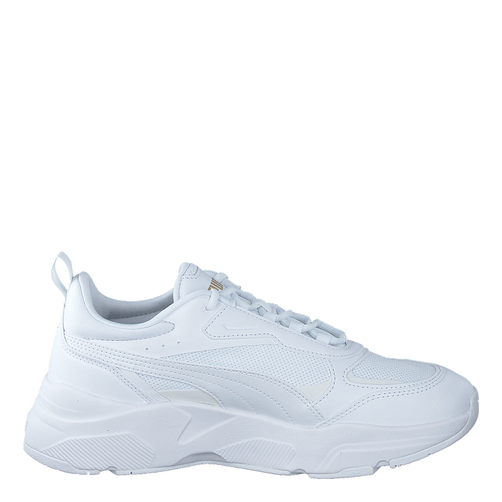 Cassia Puma White-puma White-puma Tea