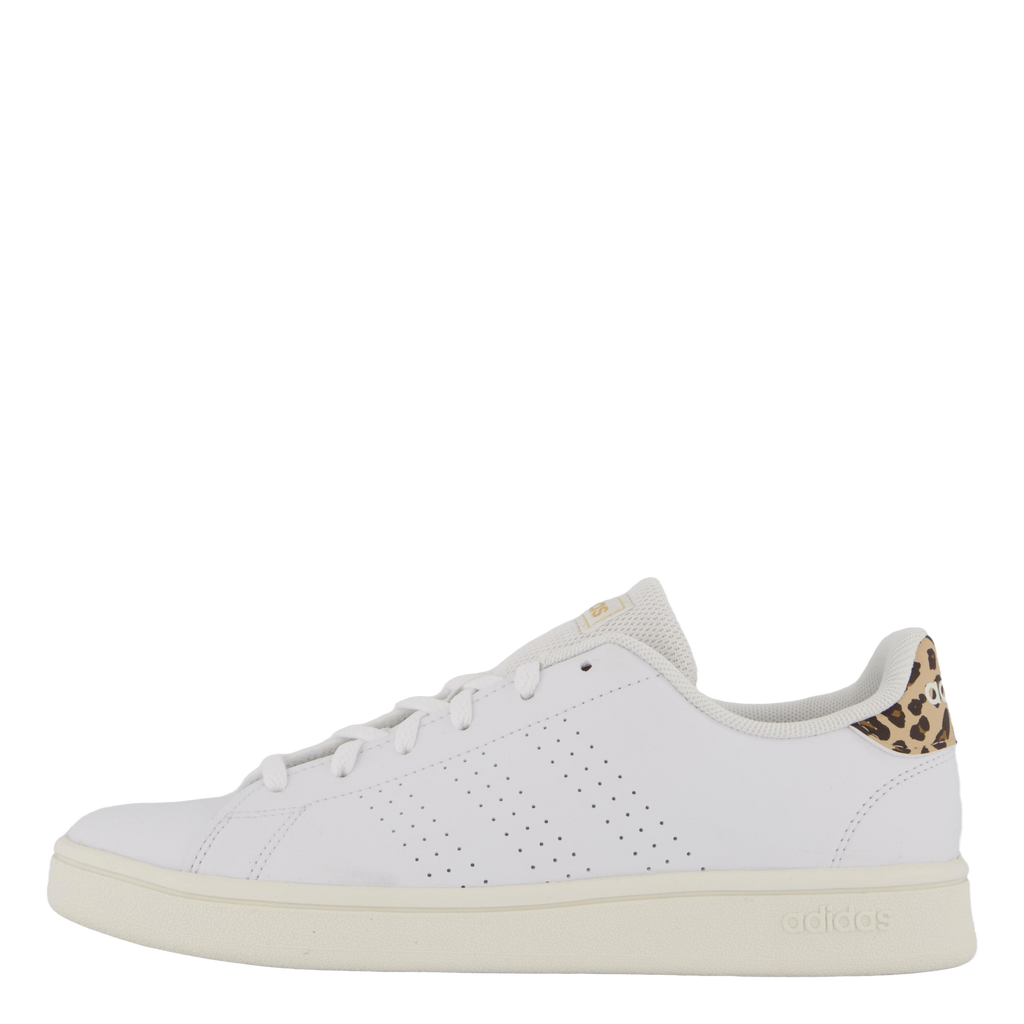 adidas Advantage Base Shoes Cloud White Cloud White Magic Beige Heppo