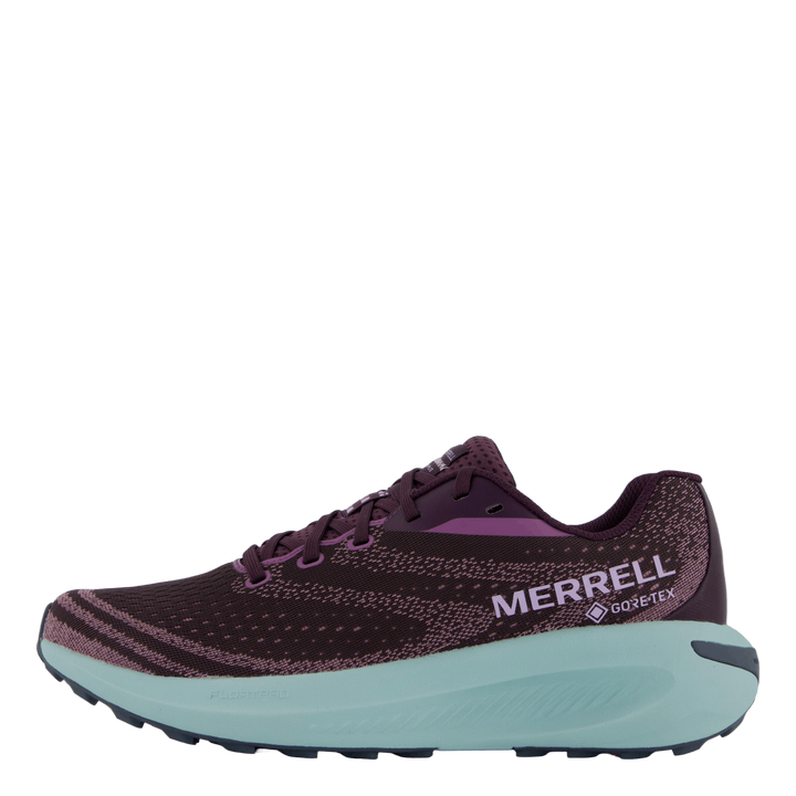 Morphlite Gtx Plum