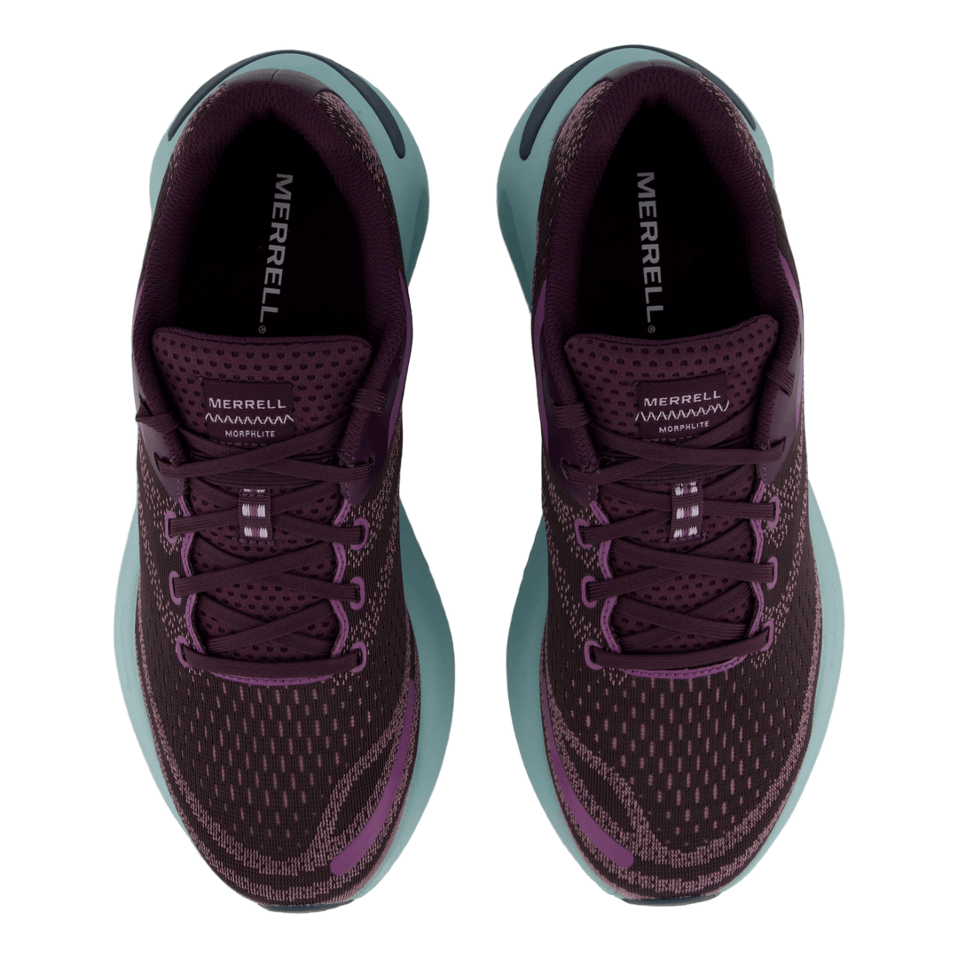 Morphlite Gtx Plum