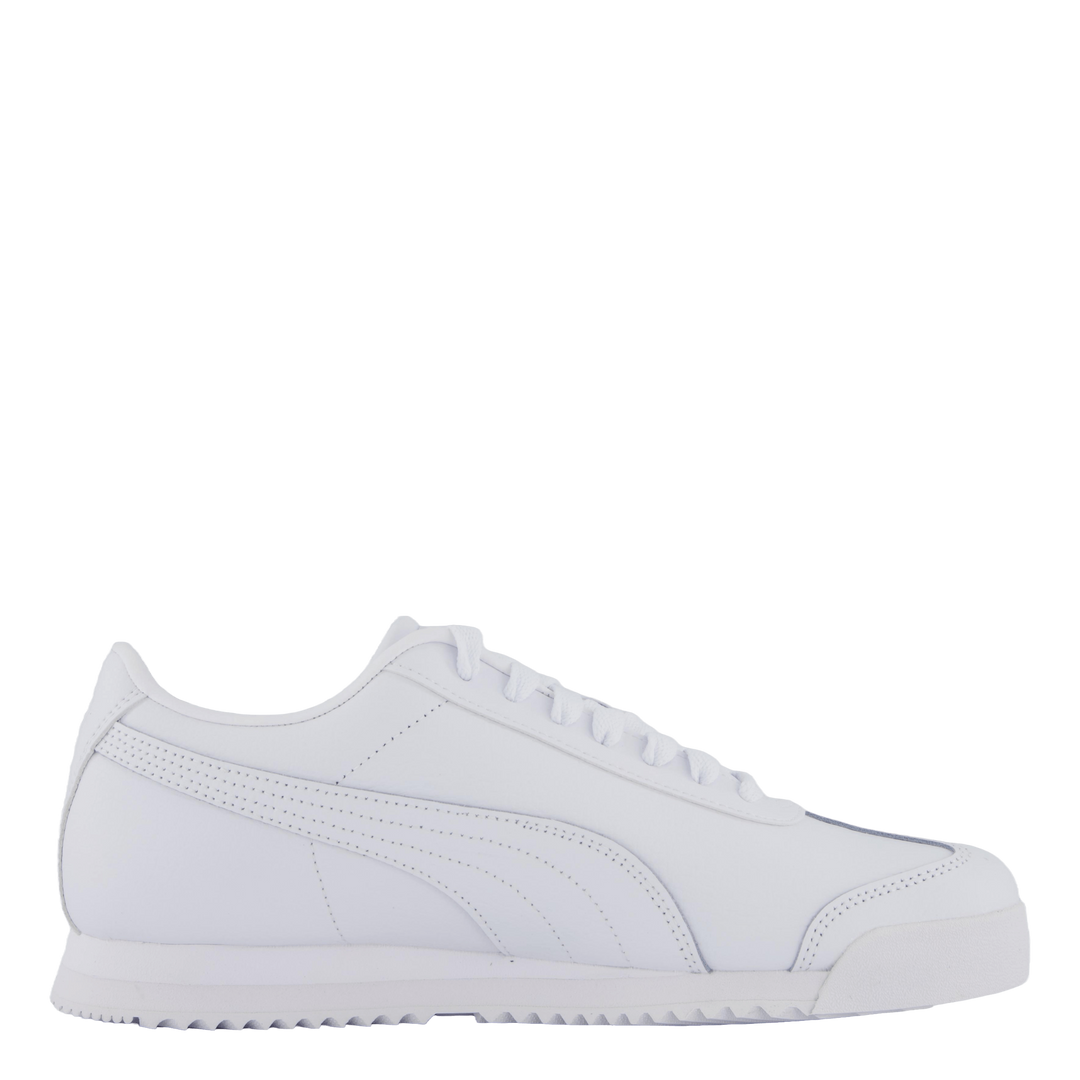 Roma 24 Standard White