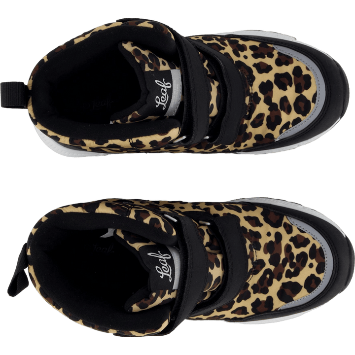 Salmis Leopard