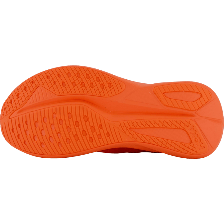W mach 7 Bell pepper / bell pepper