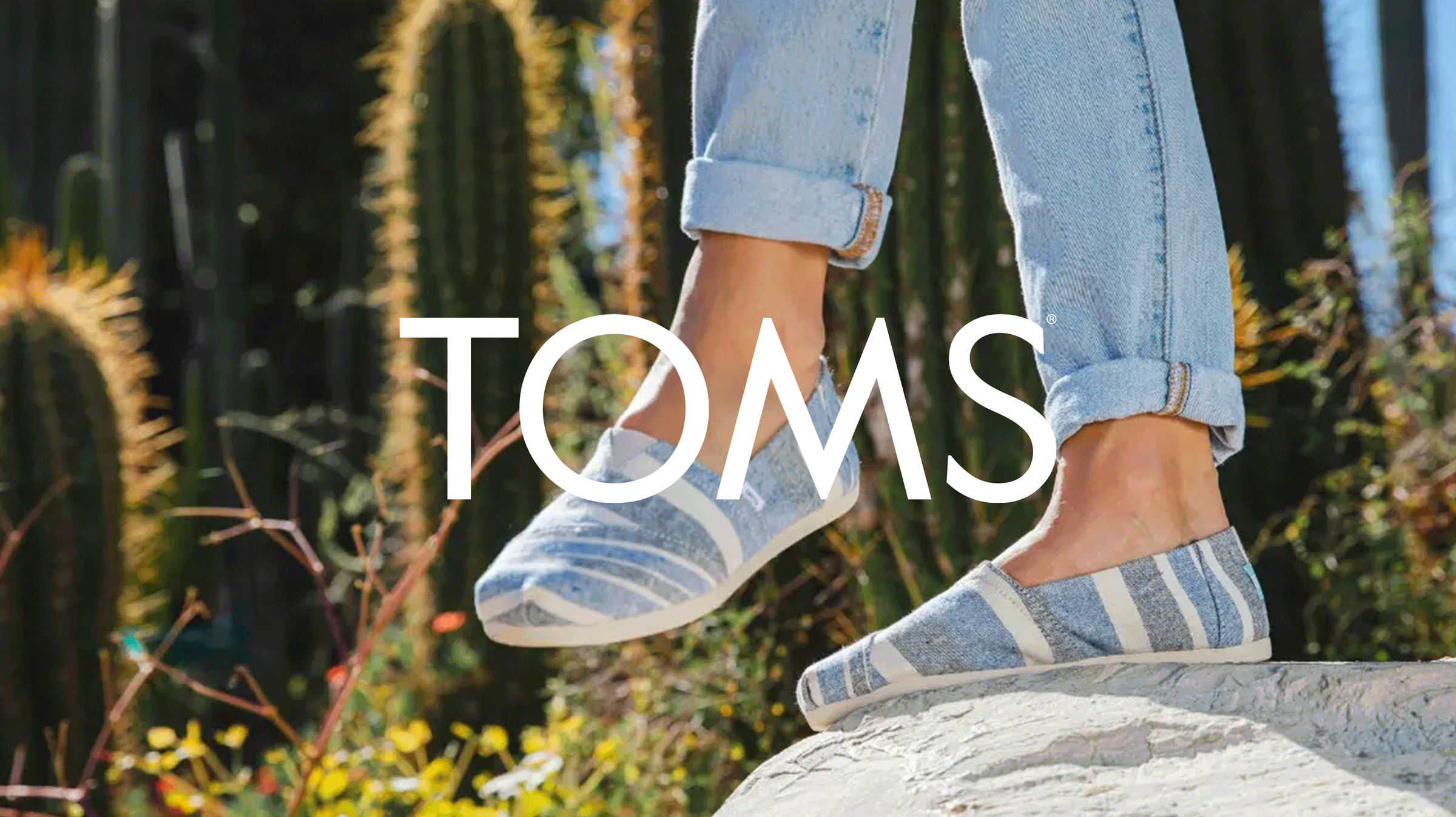 Precio de discount tenis toms originales