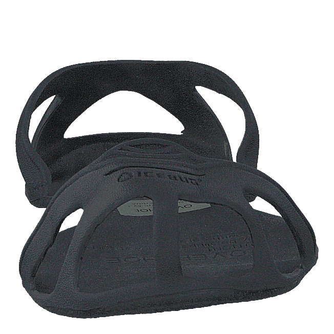 Overshoe icebug 2025