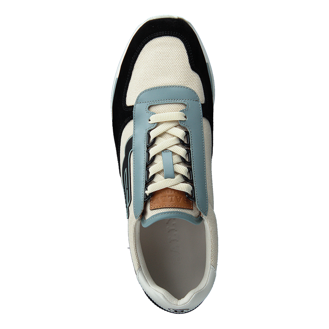 Bally galaxy 2025