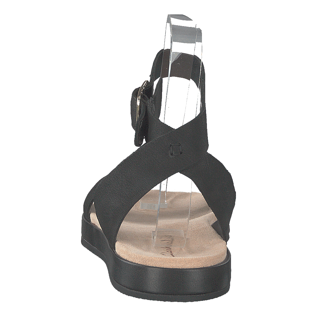 Botanic Ivy Black Leather