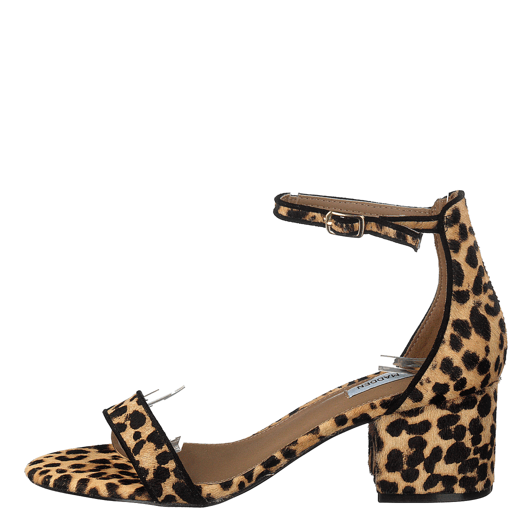 Irenee-l Leopard