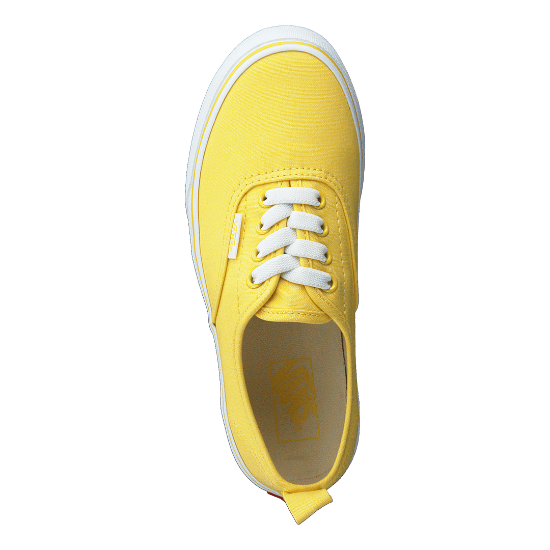 Uy Authentic Elastic Lace Aspen Gold true White