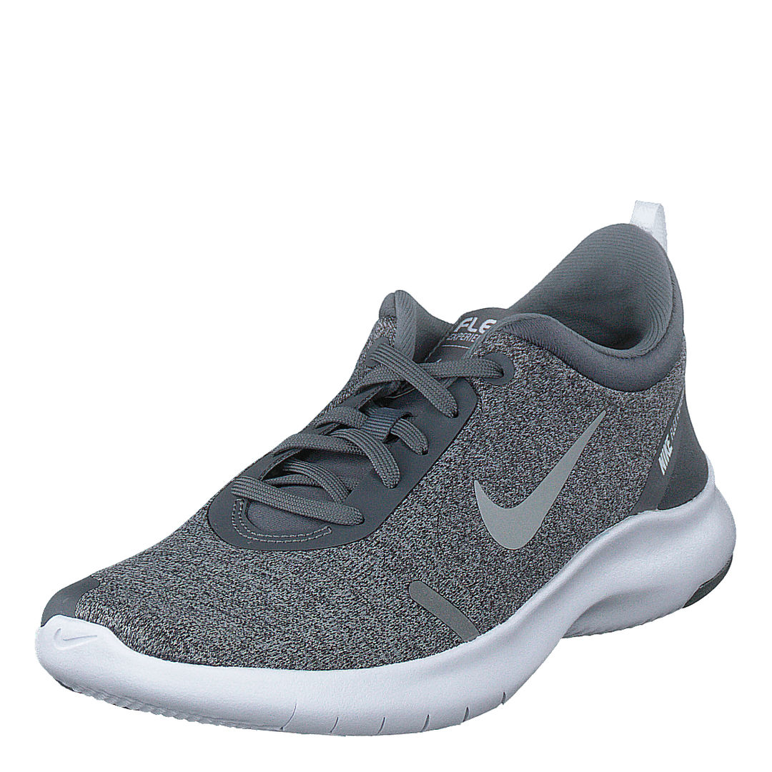 Wmns Flex Experience Cool Grey/reflect Silver