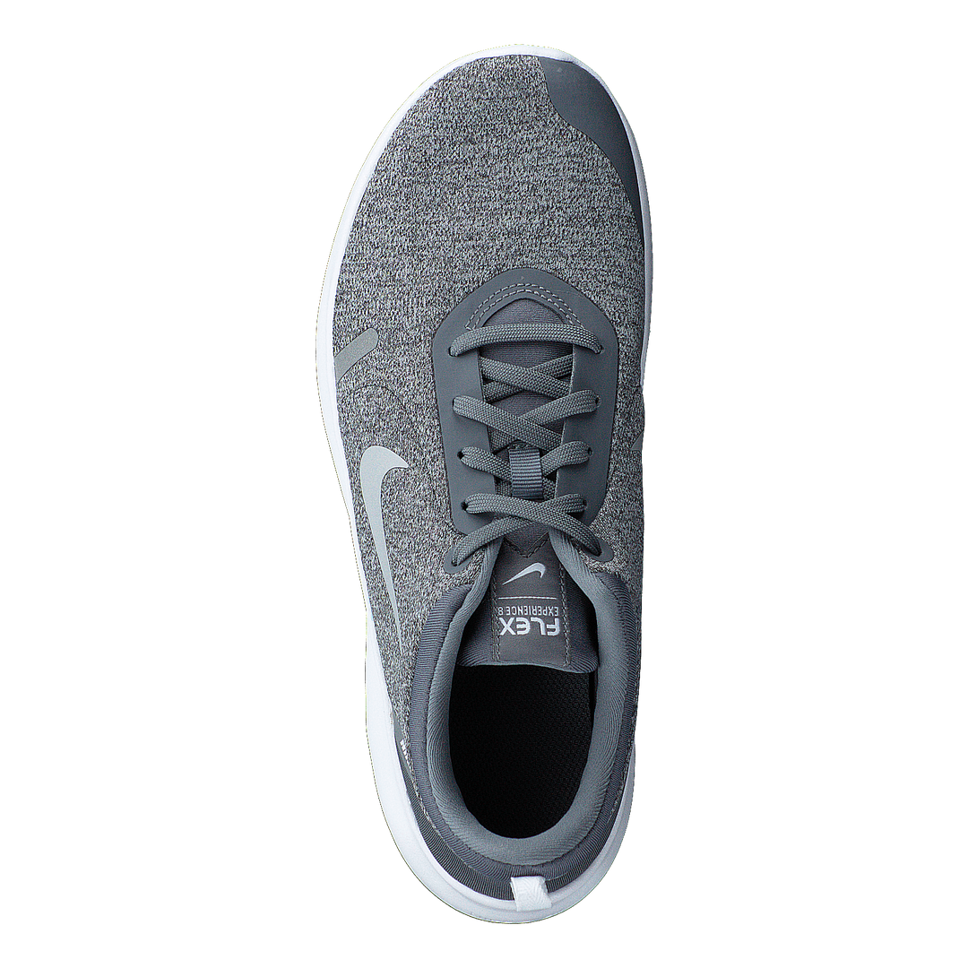 Wmns Flex Experience Cool Grey/reflect Silver