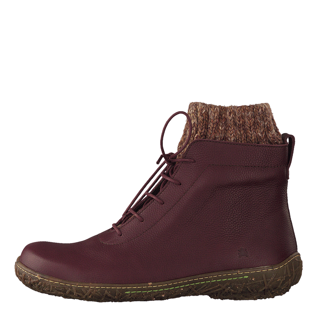 El Naturalista Nido Ella Rioja –