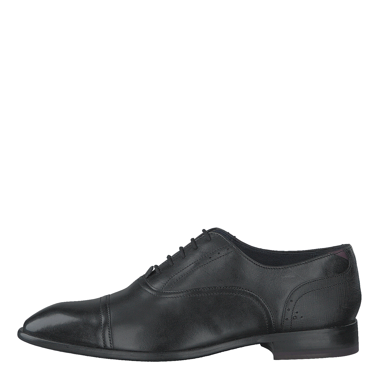 Ted Baker Circass Black – Heppo.com