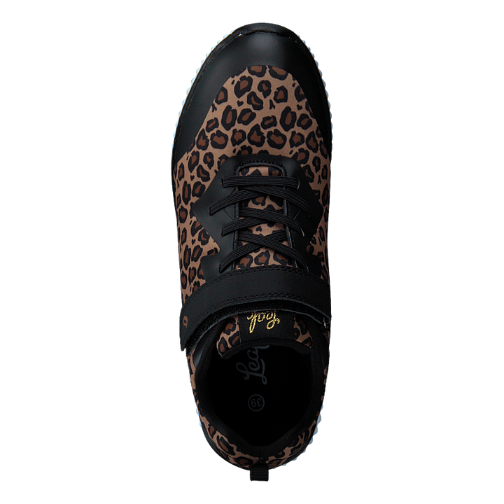 Glomma Leopard