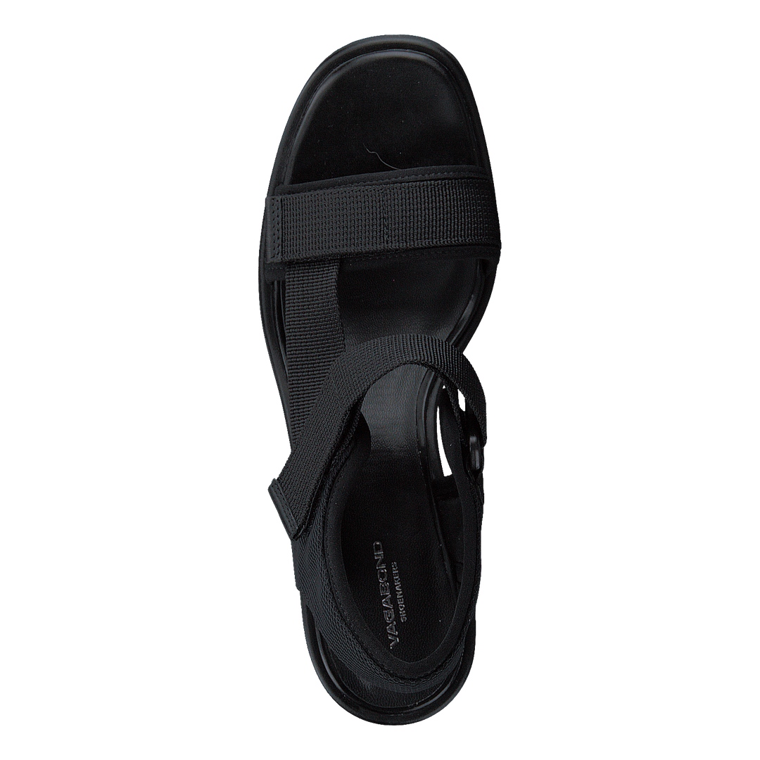 Dioon 4947-080-20 Black