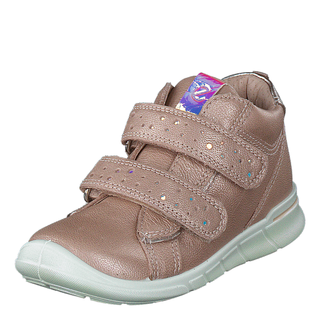 Ecco first rose 2024 dust