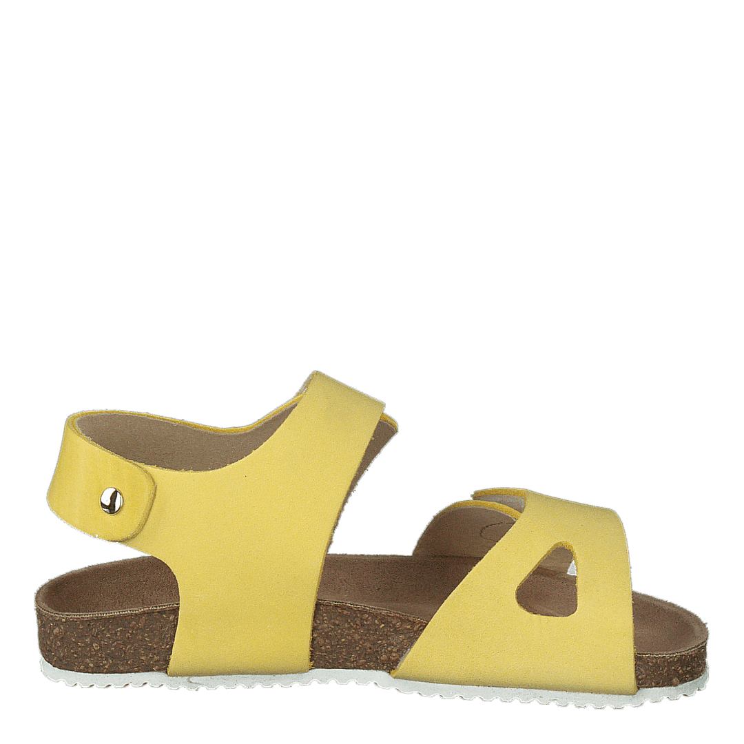 Bomhus Ep Solar Yellow