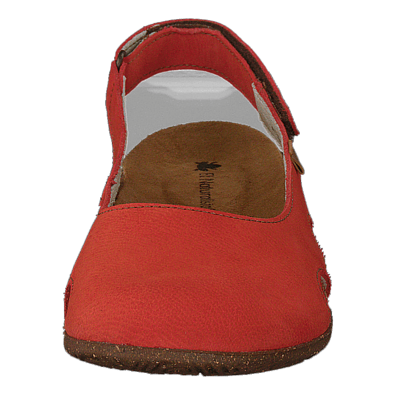 El Naturalista Wakataua Coral โ