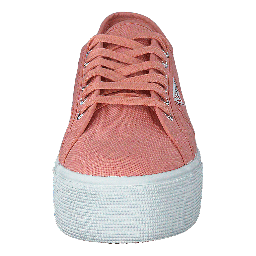 2790 Acotw Linea Rose Lobster