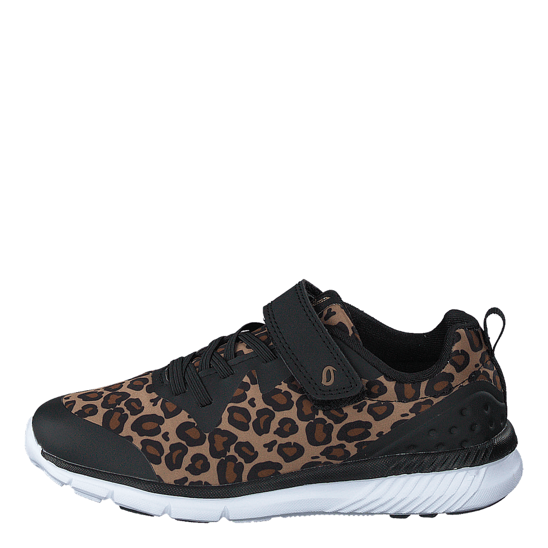 Kolima Leopard