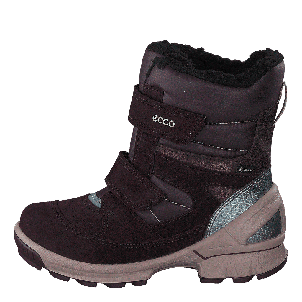 Ecco hike discount biom