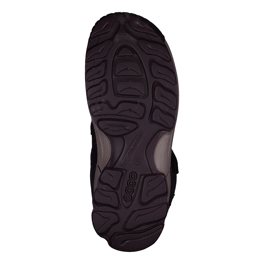 Ecco 2025 biom infant