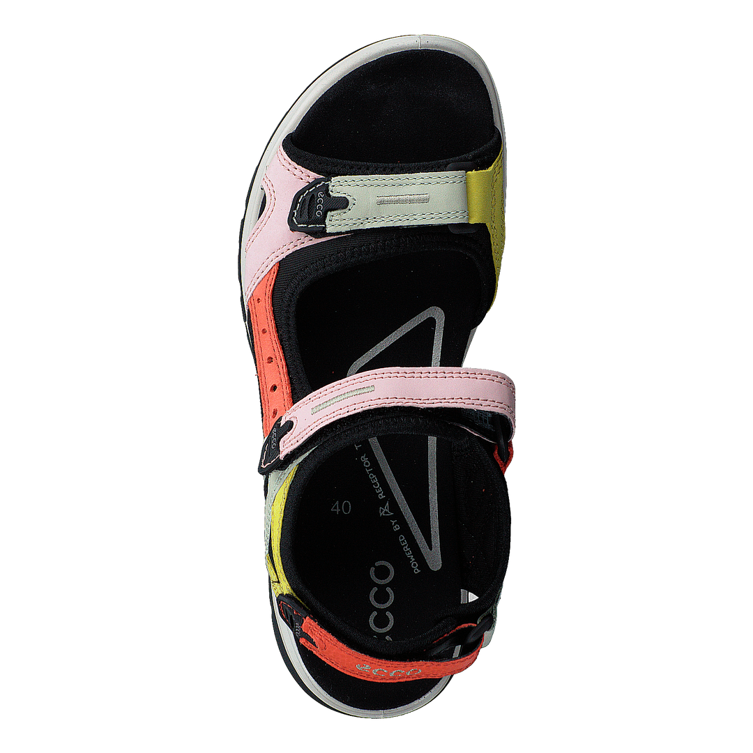 Ecco Offroad Multicolor Calendula