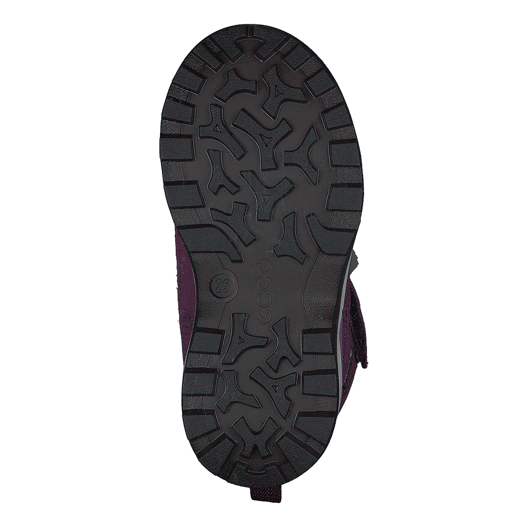 Ecco online boots purple