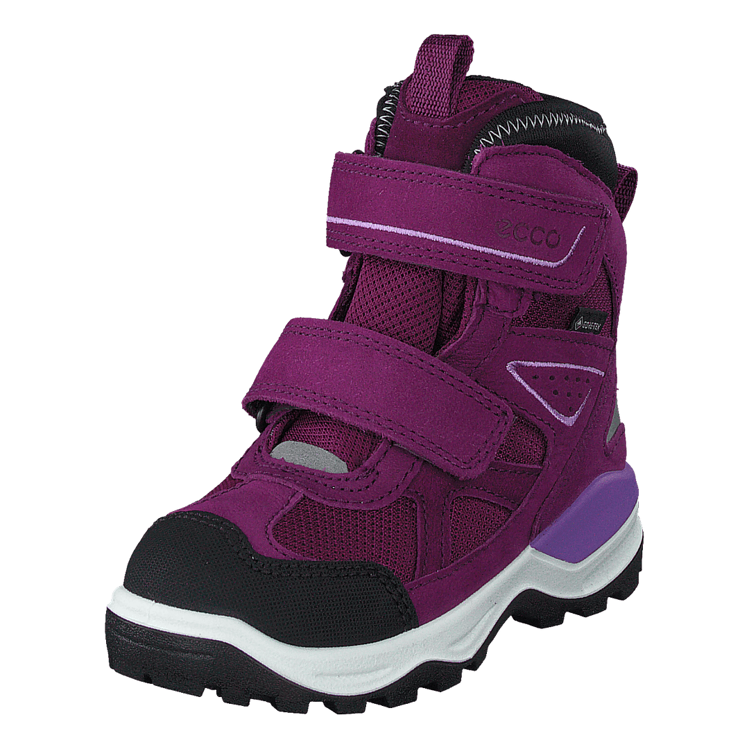 Ecco hot sale snow mountain