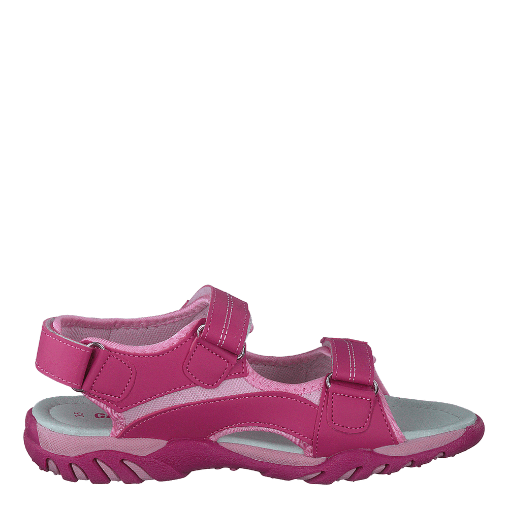 433-1132 Fuschia - Heppo.com