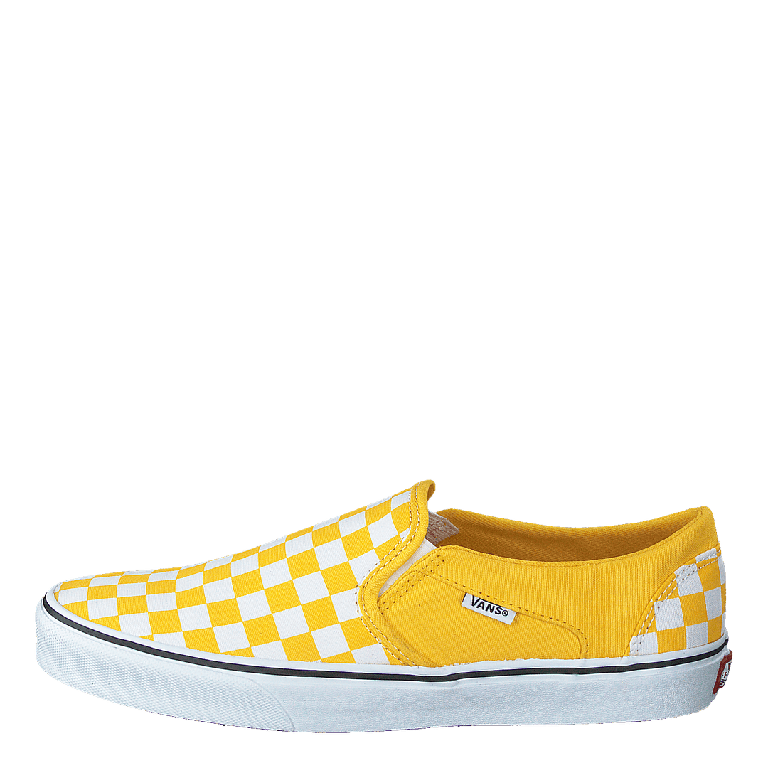 Asher 2025 white vans