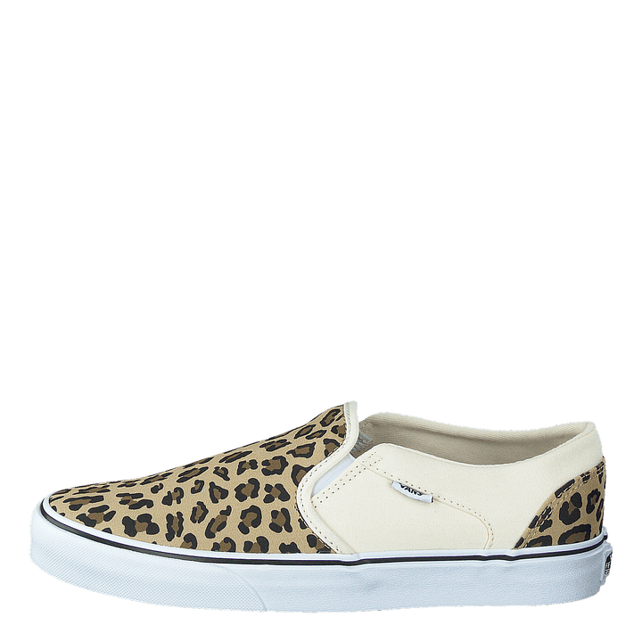 Wm Asher (leopard) Antique White/white