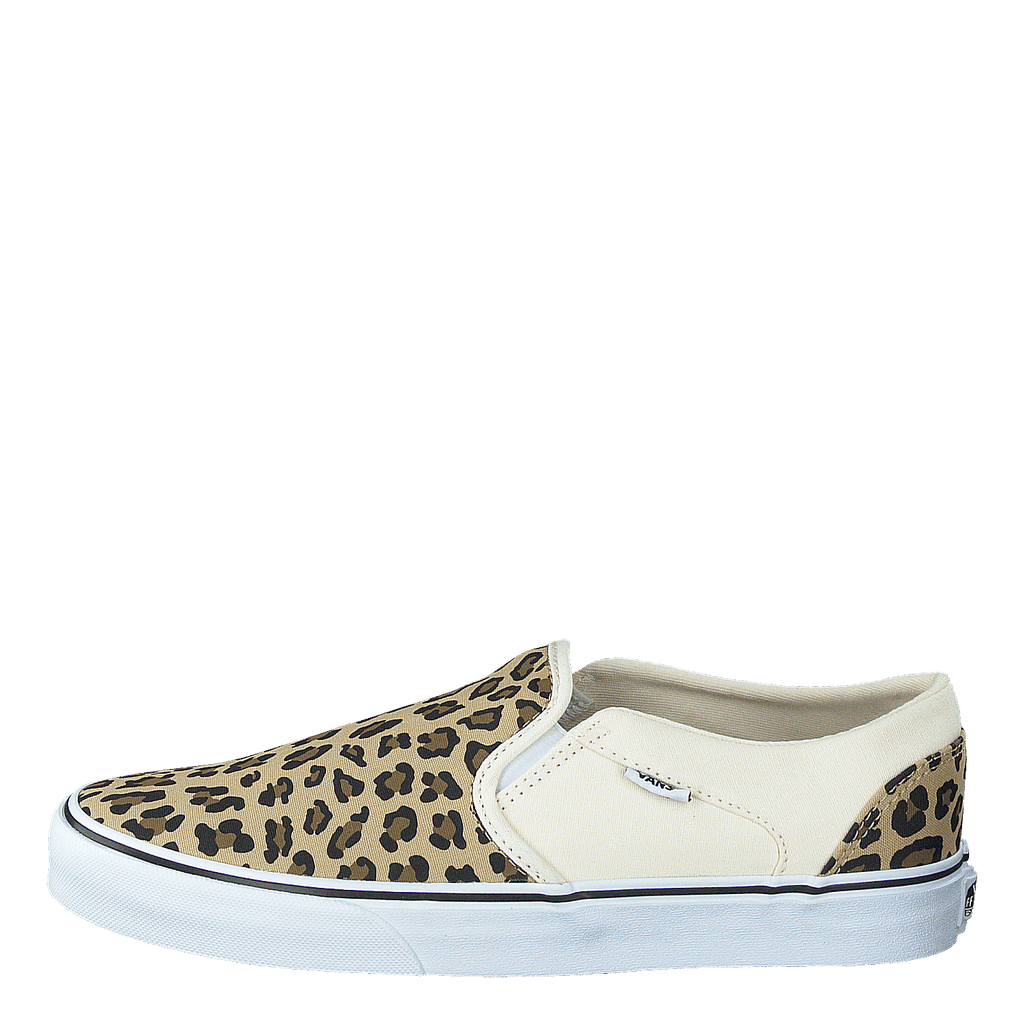 Wm Asher leopard Antique White white