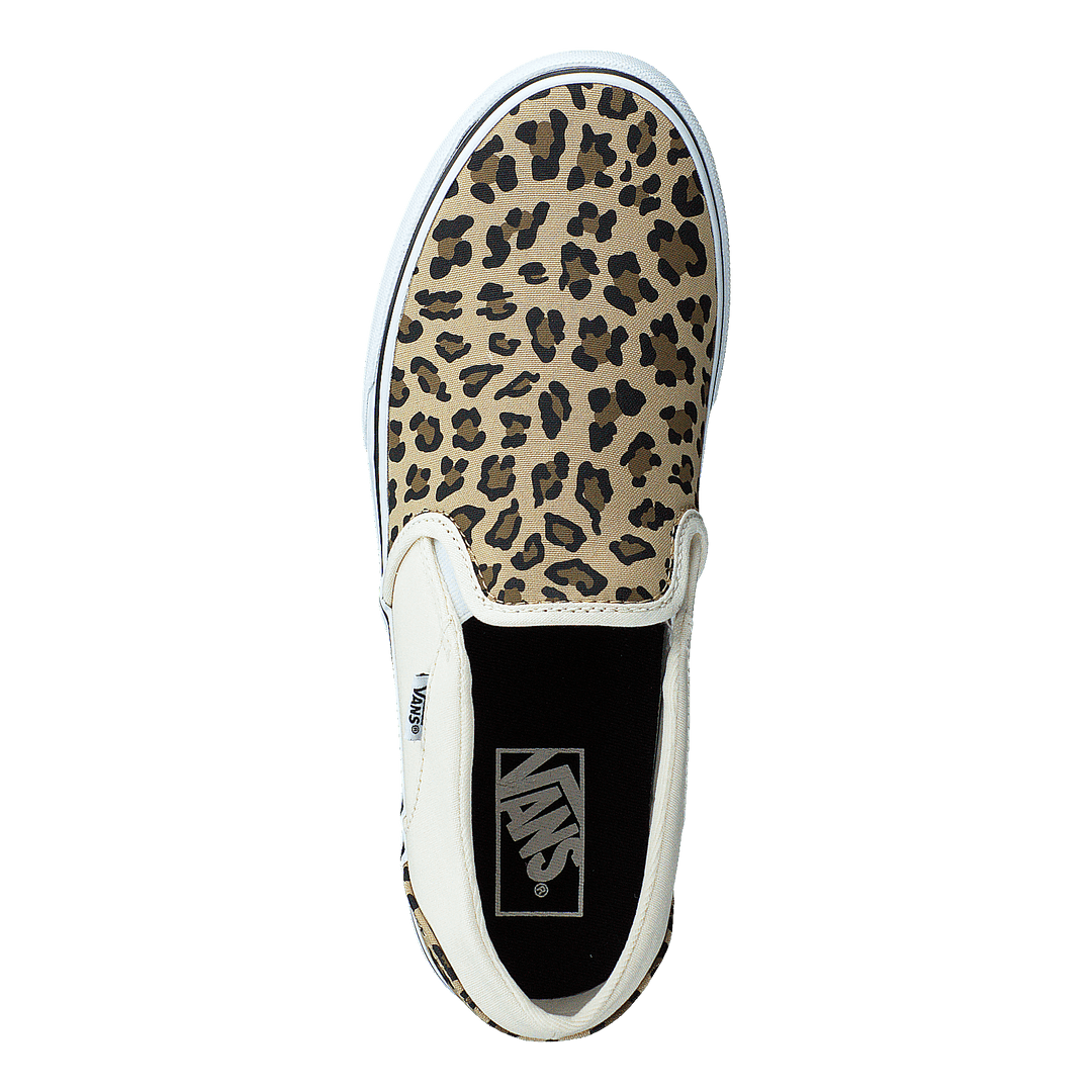 Wm Asher (leopard) Antique White/white