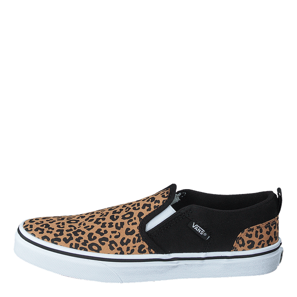 My Asher cheetah Black doe