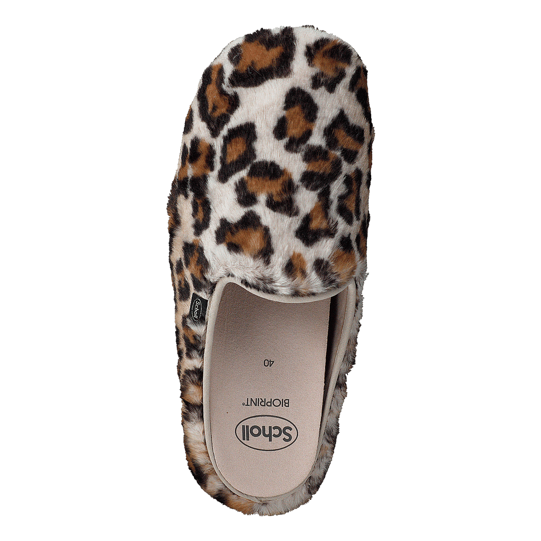 Maddy Leopard