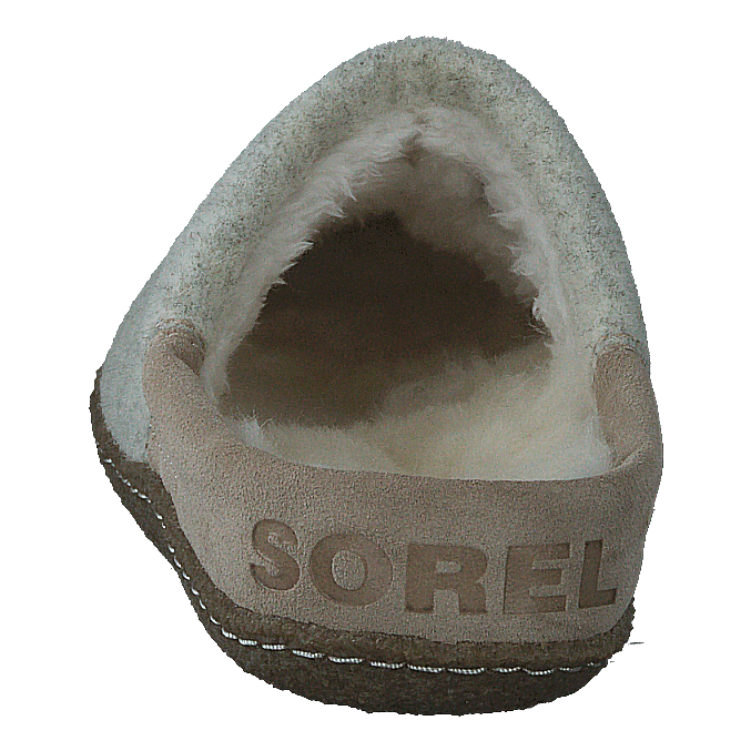Nakiska Scuff Ancient Fossil, Gum 2