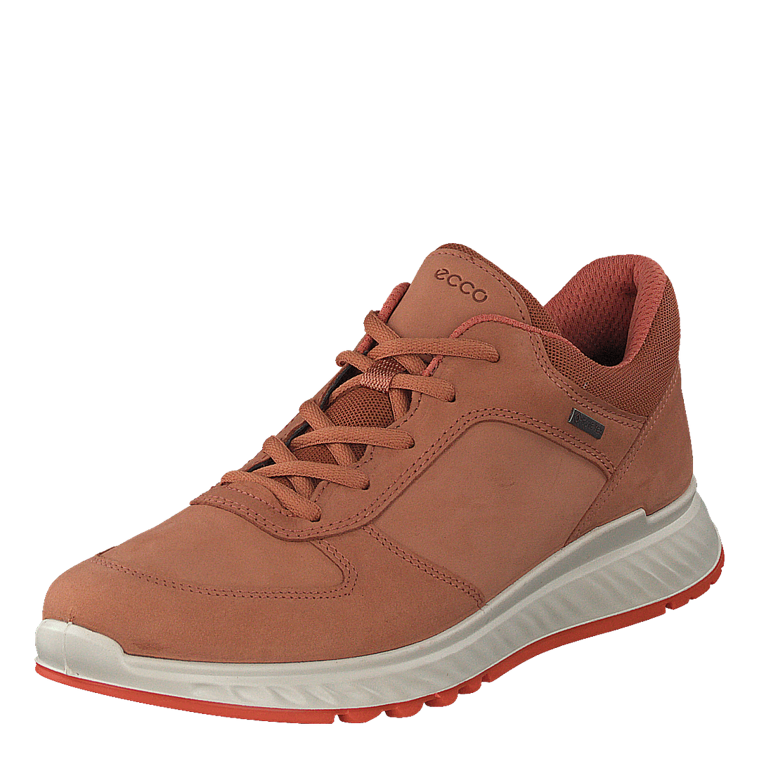 Ecco Exostride W Sierra